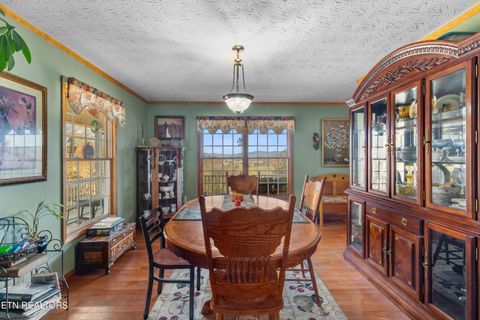 Tiny photo for 2895 Looney Rd, Parrottsville, TN 37843 (MLS # 1321843)