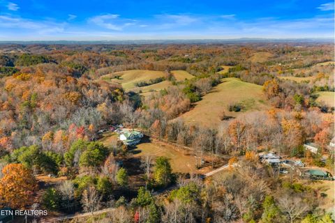 Tiny photo for 2895 Looney Rd, Parrottsville, TN 37843 (MLS # 1321843)