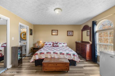 Tiny photo for 2895 Looney Rd, Parrottsville, TN 37843 (MLS # 1321843)