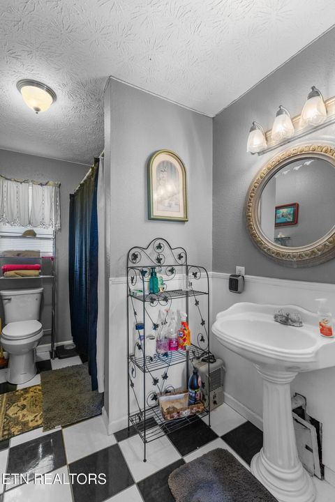 Tiny photo for 2895 Looney Rd, Parrottsville, TN 37843 (MLS # 1321843)