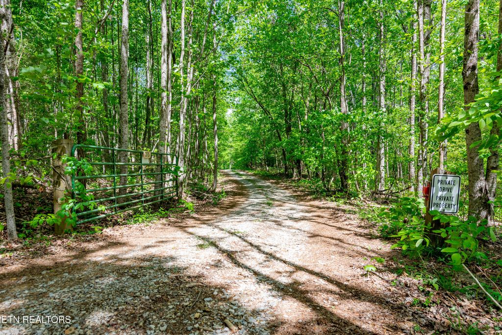 Photo of 1867 Big Ridge Rd, Spring City, TN 37381 (MLS # 1339195)