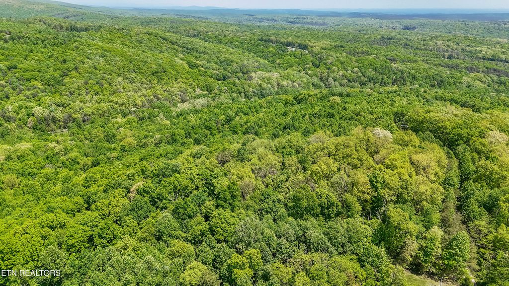 Photo of 1867 Big Ridge Rd, Spring City, TN 37381 (MLS # 1339195)