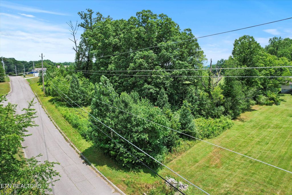 Photo of Storm Lane, Jacksboro, TN 37757 (MLS # 1307847)