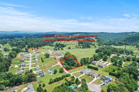 Storm Lane Jacksboro TN 37757