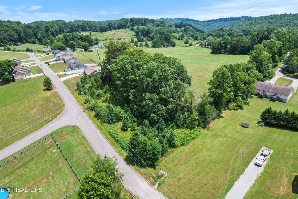 Photo of Storm Lane, Jacksboro, TN 37757 (MLS # 1307847)