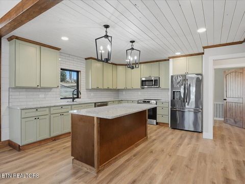 Tiny photo for 248 Cherokee Cove, Rutledge, TN 37861 (MLS # 1330053)