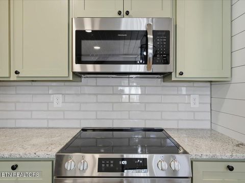 Tiny photo for 248 Cherokee Cove, Rutledge, TN 37861 (MLS # 1330053)