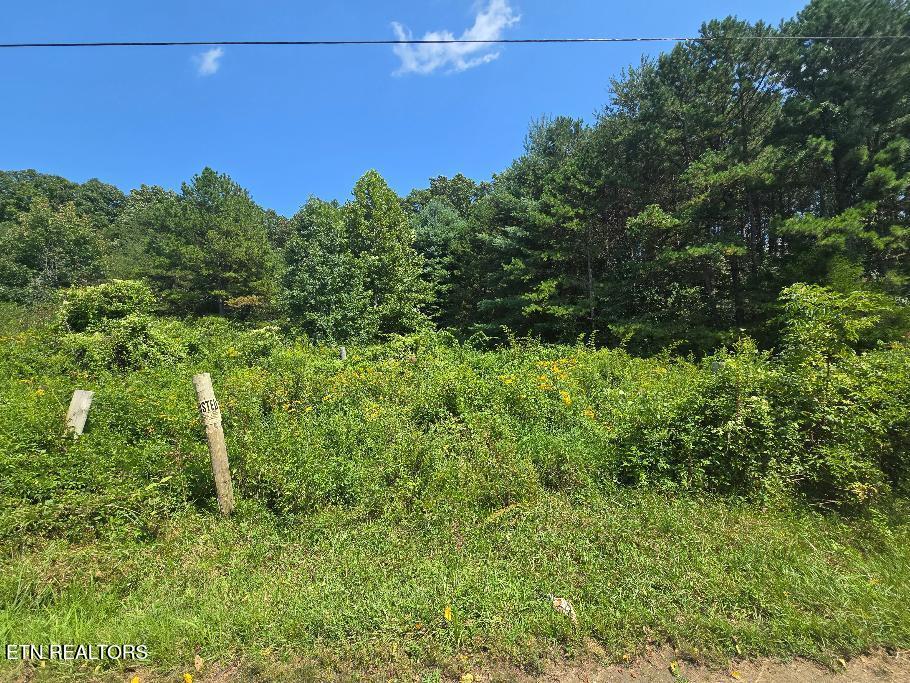 Photo of Black Creek Rd, Oneida, TN 37841 (MLS # 1353711)