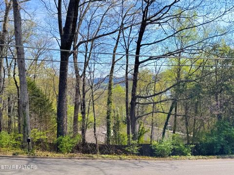 Tiny photo for 305 Orchard Knob Rd, Clinton, TN 37716 (MLS # 1334599)