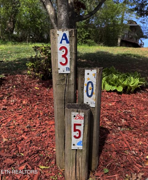 Tiny photo for 305 Orchard Knob Rd, Clinton, TN 37716 (MLS # 1334599)