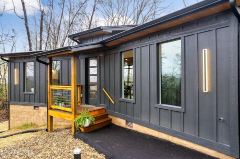 Tiny photo for 1079 Pleasure Rd, Sevierville, TN 37876 (MLS # 1328487)