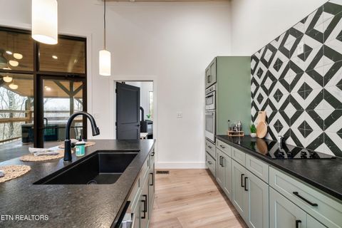 Tiny photo for 1079 Pleasure Rd, Sevierville, TN 37876 (MLS # 1328487)