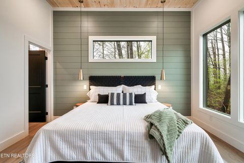 Tiny photo for 1079 Pleasure Rd, Sevierville, TN 37876 (MLS # 1328487)