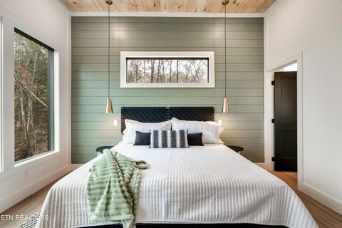 Tiny photo for 1079 Pleasure Rd, Sevierville, TN 37876 (MLS # 1328487)