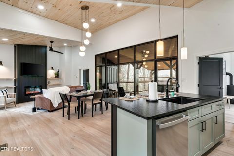 Tiny photo for 1079 Pleasure Rd, Sevierville, TN 37876 (MLS # 1328487)