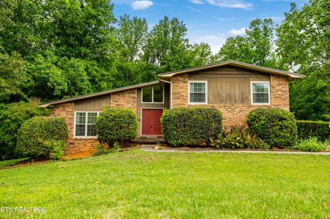 Photo of 1404 Mimosa Drive, Louisville, TN 37777 (MLS # 1342291)