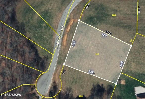 195 MARBLE POINT WAY, NEW TAZEWELL, TN 37825 - Image 88e360bf2500f78061038041a5dc4ec0/1127992020
