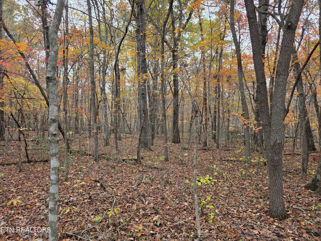 Photo of 7 Divide Tr, Monterey, TN 38574 (MLS # 1357149)