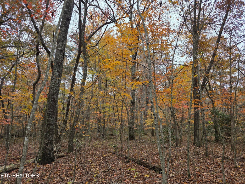 Photo of 7 Divide Tr, Monterey, TN 38574 (MLS # 1357149)