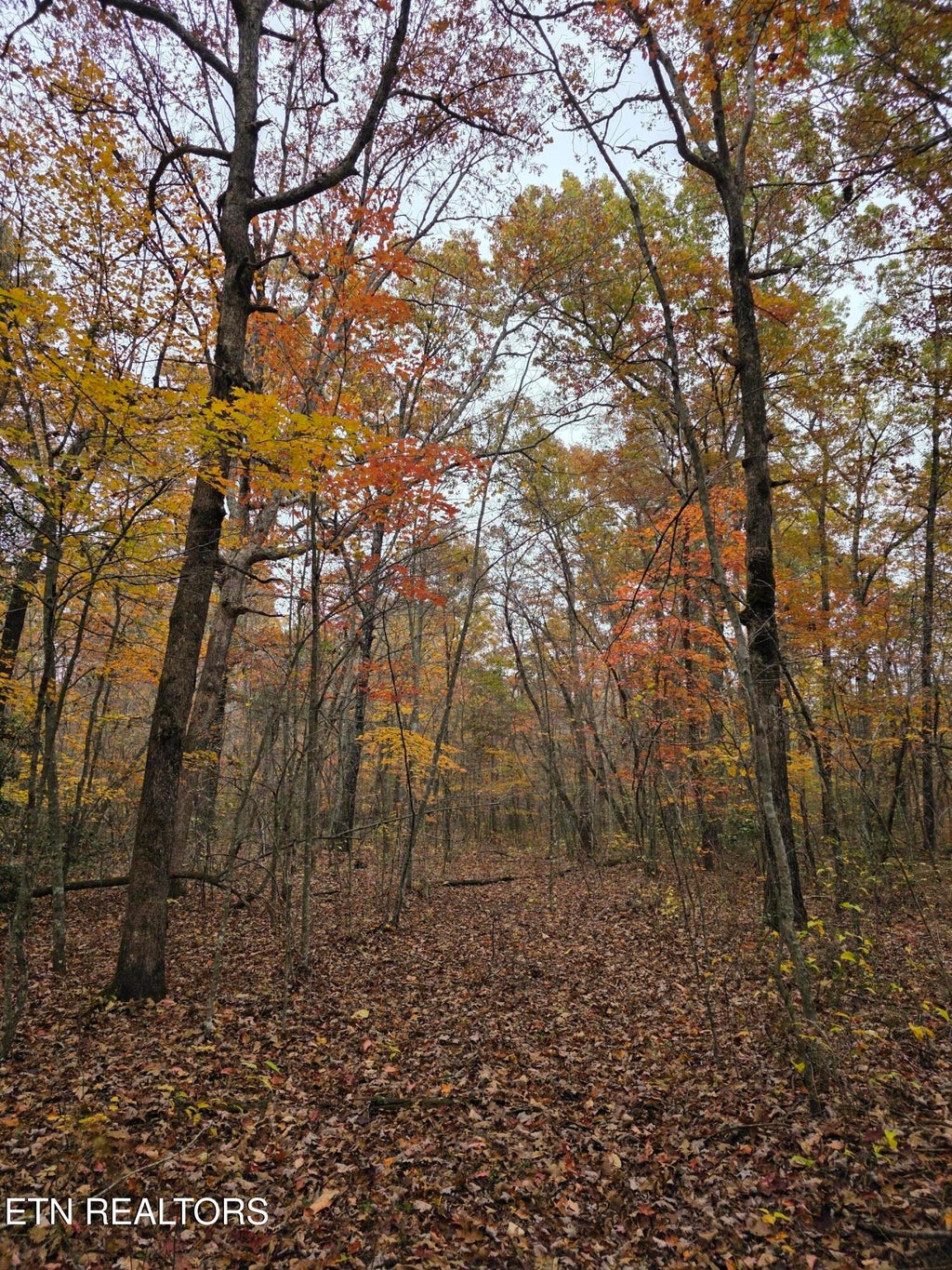 Photo of 7 Divide Tr, Monterey, TN 38574 (MLS # 1357149)