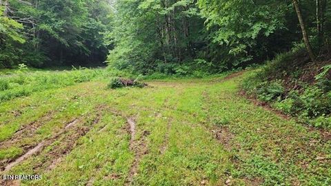Tiny photo for 4473 Chavis Rd, Cosby, TN 37722 (MLS # 1327793)