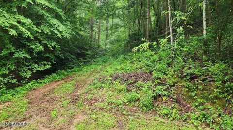 Tiny photo for 4473 Chavis Rd, Cosby, TN 37722 (MLS # 1327793)