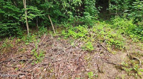 Photo of 4473 Chavis Rd, Cosby, TN 37722 (MLS # 1327793)