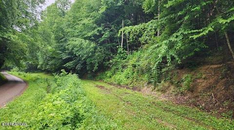 Tiny photo for 4473 Chavis Rd, Cosby, TN 37722 (MLS # 1327793)