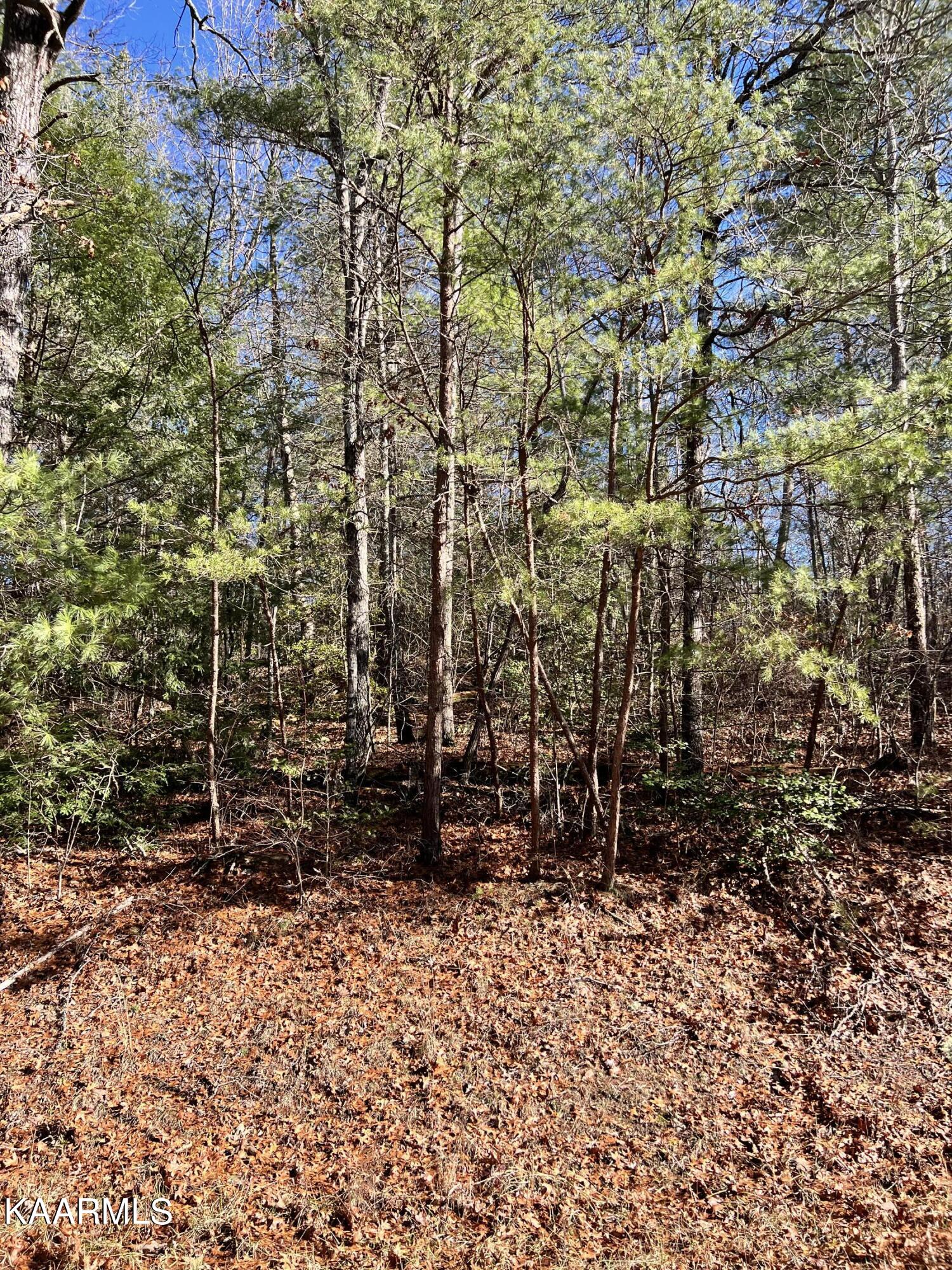 Photo 1 of 1 of 117 Natchez Circle land