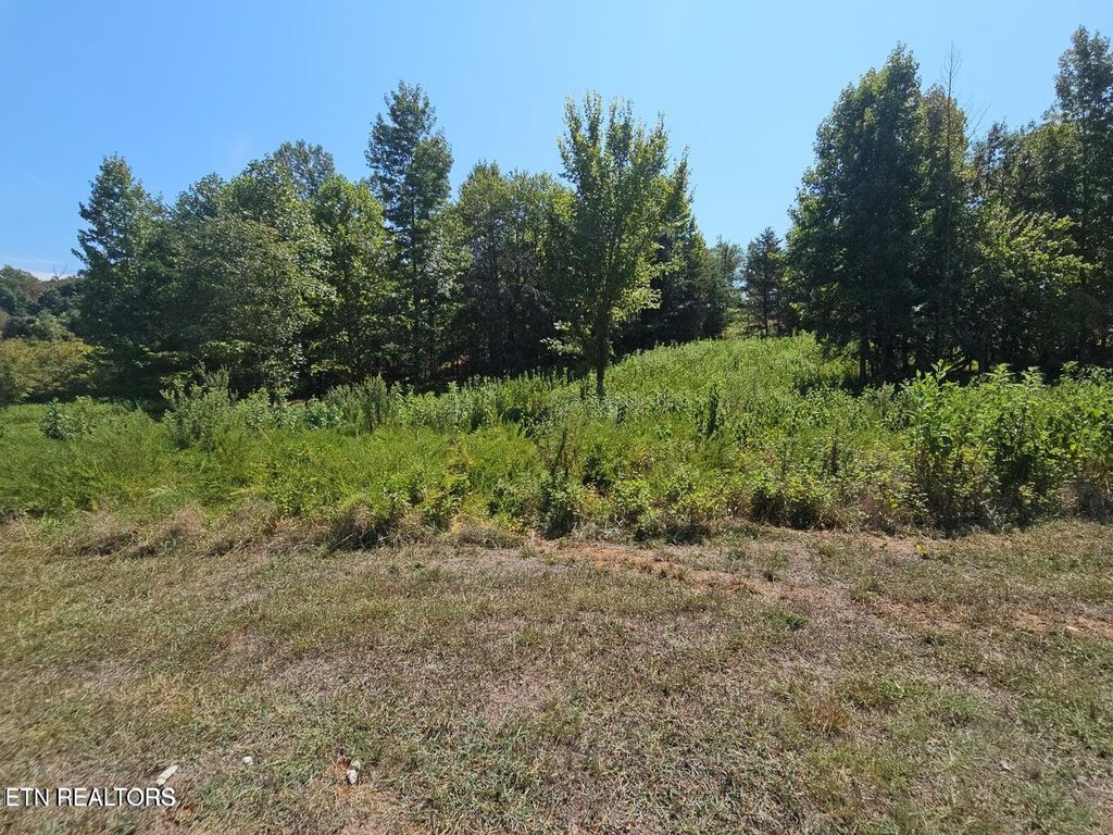 Photo of 41 Meadow (W/Dock) Lane, Harriman, TN 37748 (MLS # 1318205)