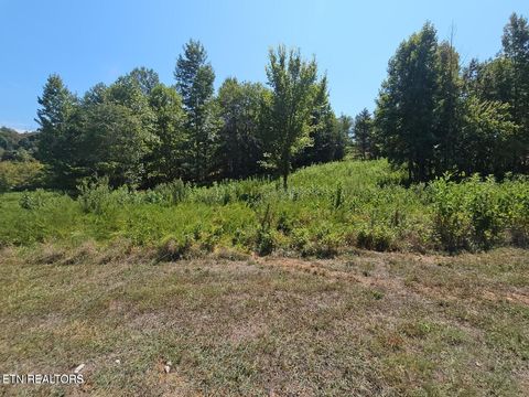 Photo of 41 Meadow (W/Dock) Lane, Harriman, TN 37748 (MLS # 1318205)