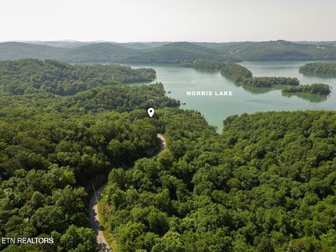 Tiny photo for 156 Lakeview Drive, Sharps Chapel, TN 37866 (MLS # 1286538)