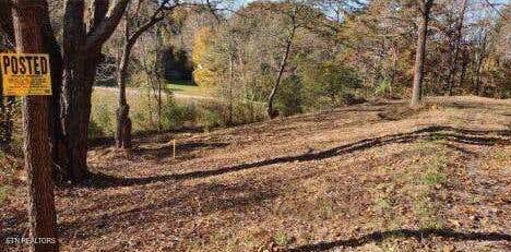 Photo of 145 Shelton Lane, Oneida, TN 37841 (MLS # 1311765)