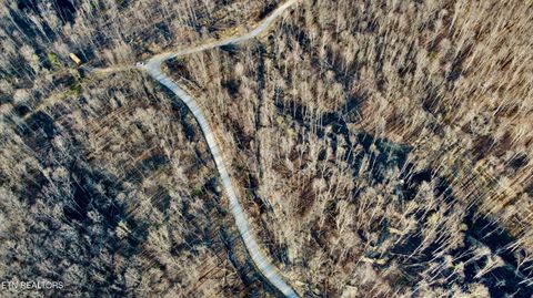 Tiny photo for 12 Mill Creek Rd, Sunbright, TN 37872 (MLS # 1334509)