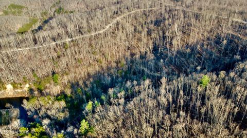 Tiny photo for 12 Mill Creek Rd, Sunbright, TN 37872 (MLS # 1334509)