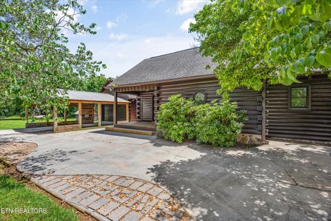 284 Savannah Shores Drive Delano TN 37325