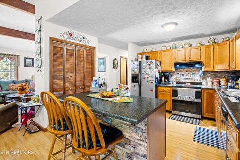Tiny photo for 3706 Pleasant View Lane, Sevierville, TN 37862 (MLS # 1319136)