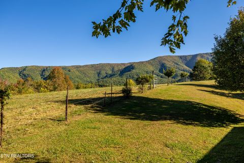 Tiny photo for 3706 Pleasant View Lane, Sevierville, TN 37862 (MLS # 1319136)