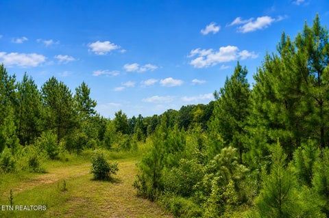 Photo of 260 Buckner Rd, Philadelphia, TN 37846 (MLS # 1352565)
