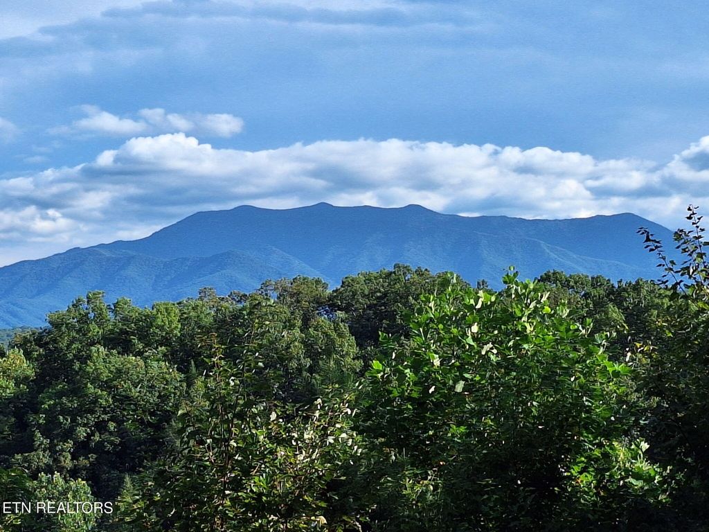 Photo of 1428 Am King Way, Sevierville, TN 37876 (MLS # 1323283)