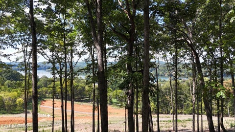 Photo of 137 Eagles Crest Court, Loudon, TN 37774 (MLS # 1355347)