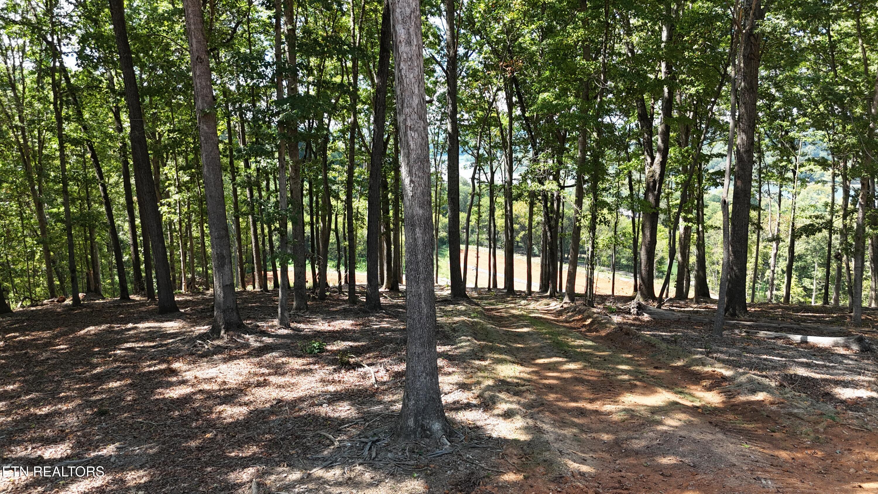137 Eagles Crest Court