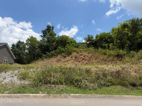 Photo of 73 Millstone Circle, Clinton, TN 37716 (MLS # 1347490)