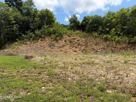 Tiny photo for 73 Millstone Circle, Clinton, TN 37716 (MLS # 1347490)