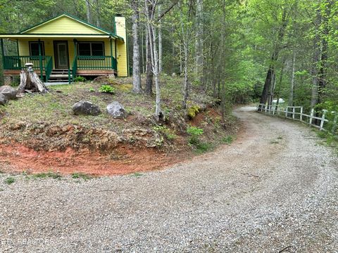 Tiny photo for 5475 Otto Williams Rd, Cosby, TN 37722 (MLS # 1316619)