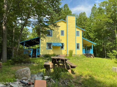 Tiny photo for 5475 Otto Williams Rd, Cosby, TN 37722 (MLS # 1316619)