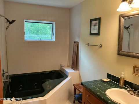 Tiny photo for 5475 Otto Williams Rd, Cosby, TN 37722 (MLS # 1316619)