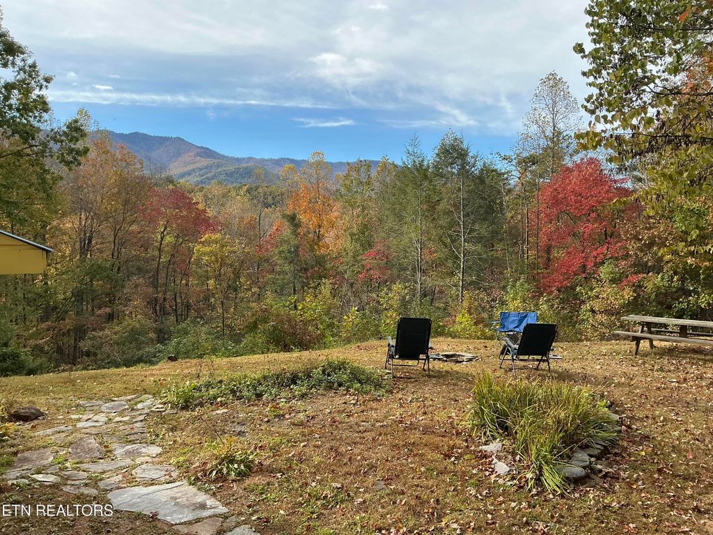 Photo of 5475 Otto Williams Rd, Cosby, TN 37722 (MLS # 1316619)