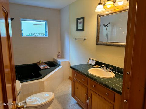 Tiny photo for 5475 Otto Williams Rd, Cosby, TN 37722 (MLS # 1316619)