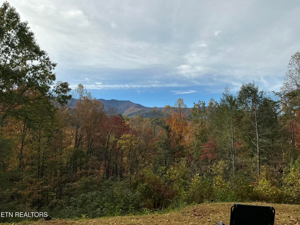 Photo of 5475 Otto Williams Rd, Cosby, TN 37722 (MLS # 1316619)